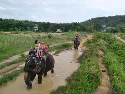 Phuket Island Half Day City Tour