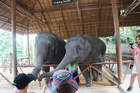 Siam Safari