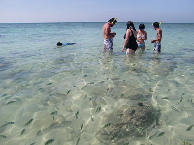 Khai Island 1Day Tour