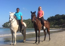 �J�}���r�[�`�z�[�X���C�f�B���O