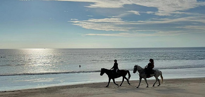 �v�[�P�b�g�ŏ�n�i�J�}���j