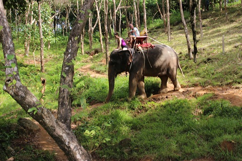 �v�[�P�b�g�ۏ��\��