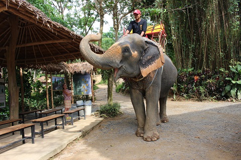 �J�^�r�[�`�ŏۏ��