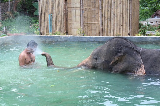 �R�b�N�`���[���T�t�@�������c�A�[