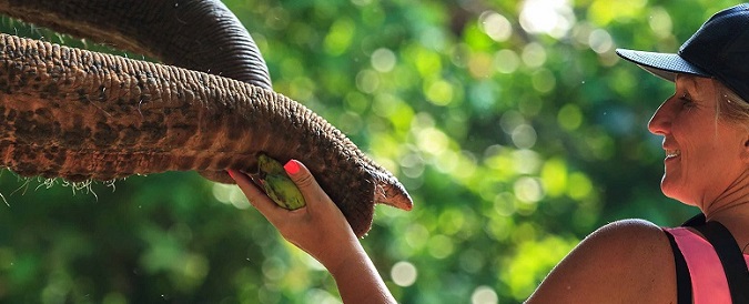 �R�b�N�`���[���T�t�@��