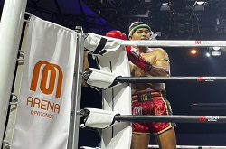 M�A���[�i�v�[�P�b�g���G�^�C