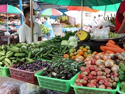 �v�[�P�b�g���s��