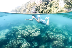 �s�s���V���m�[�P�����O