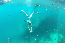 �T���S���������񌩂���s�s��1���c�A�[