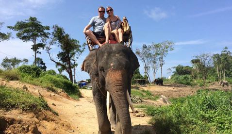 �ۏ��v�[�P�b�g�i���\��