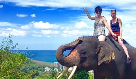 �p���`���[���J�}��