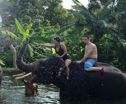 �ۂ���V�����[