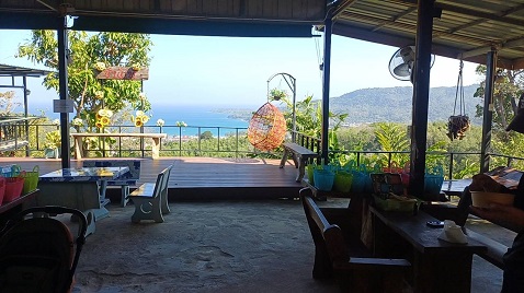 �p���`���[���J�}���ۏ��