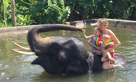 �ۂ���ƃV�����[