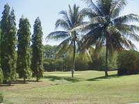 �v�[�P�b�g�J���g���[���{��\��