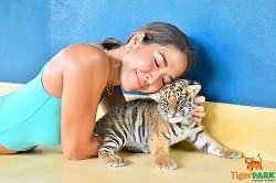 �^�C�K�[�p�[�N���ꗿ����