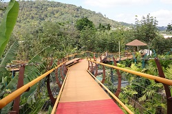 �^�C�K�[�p�[�N�X�J�C�E�H�[�N�������i