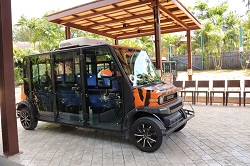 �^�C�K�[�p�[�N�L���m�s�[�t�H���X�g�T�t�@���������i