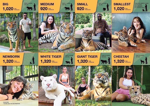 �^�C�K�[�p�[�N�v�[�P�b�g����